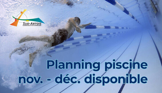 miniature planning piscine décembre 2021